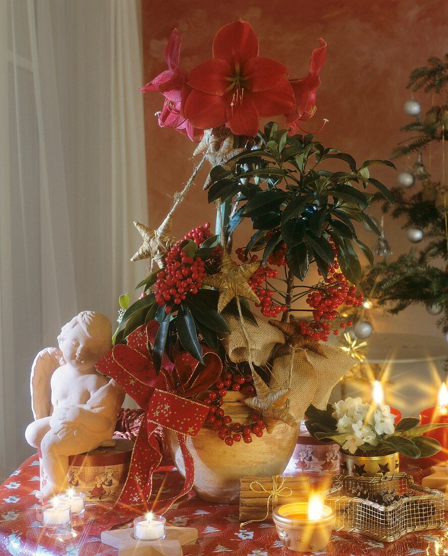 Weihnachtliches Blumengesteck mit Amaryllis und Spitzblume