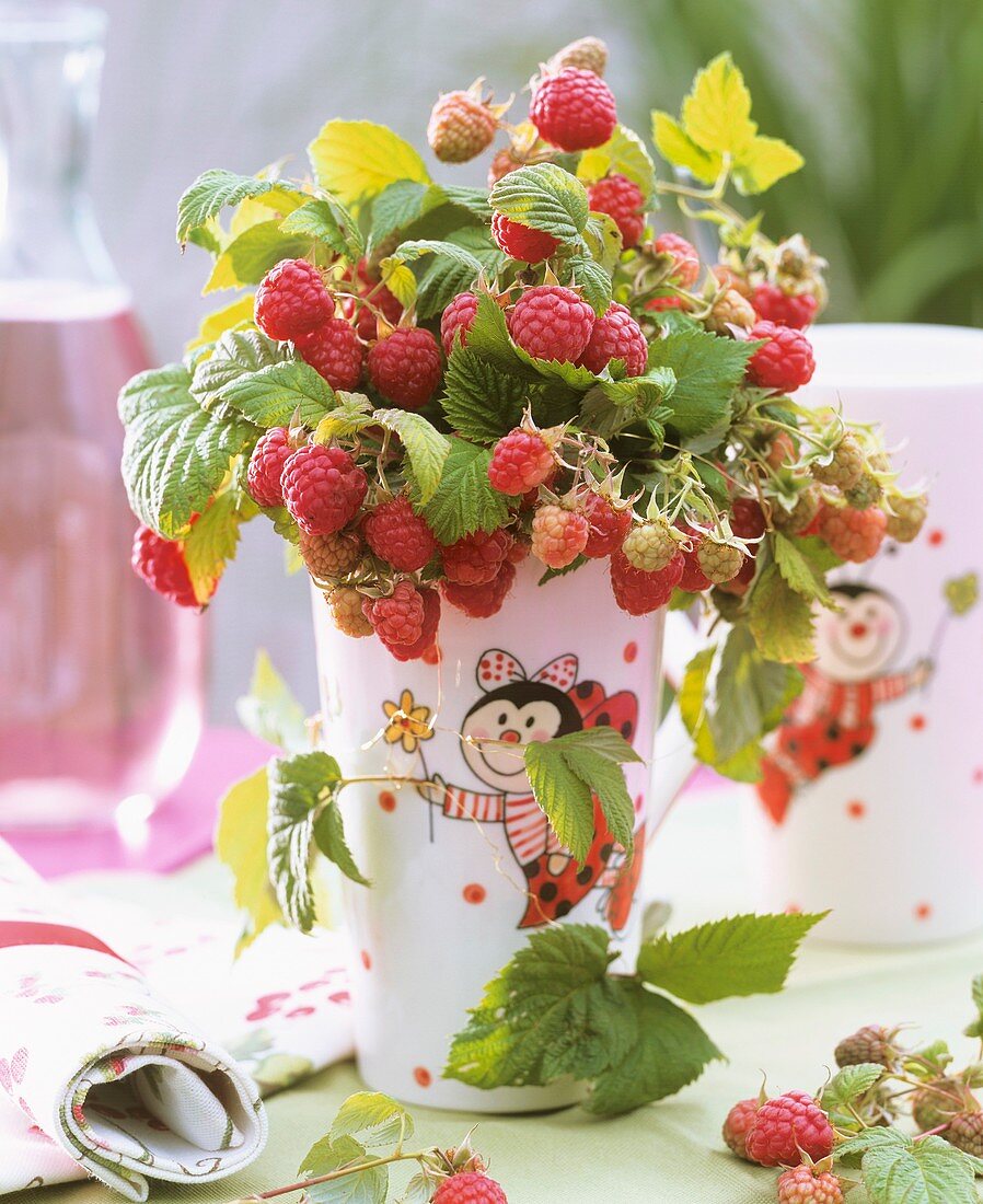 Raspberries used as cut flowers in vase with ladybird motif