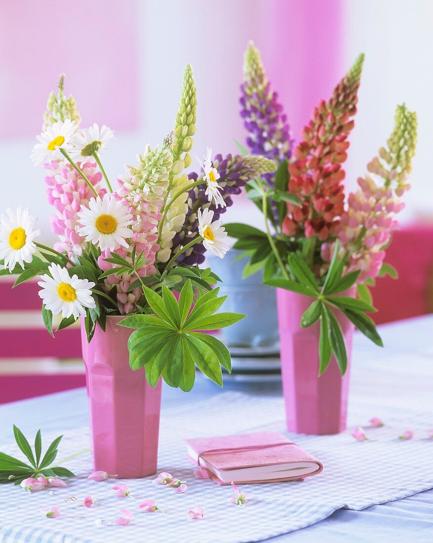 Lupins and marguerites in pink beakers