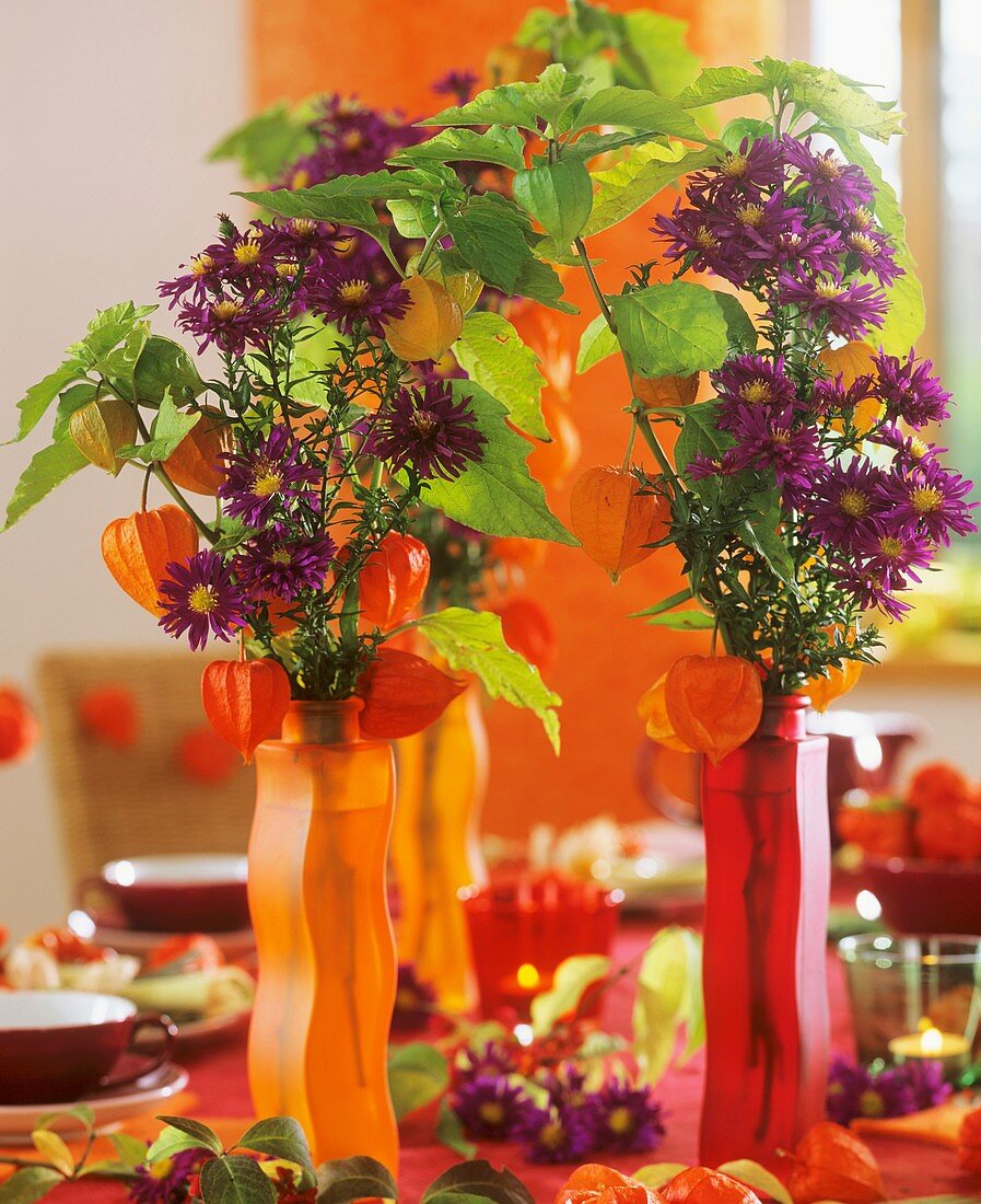 Michaelmas daisies in red and orange glass vases