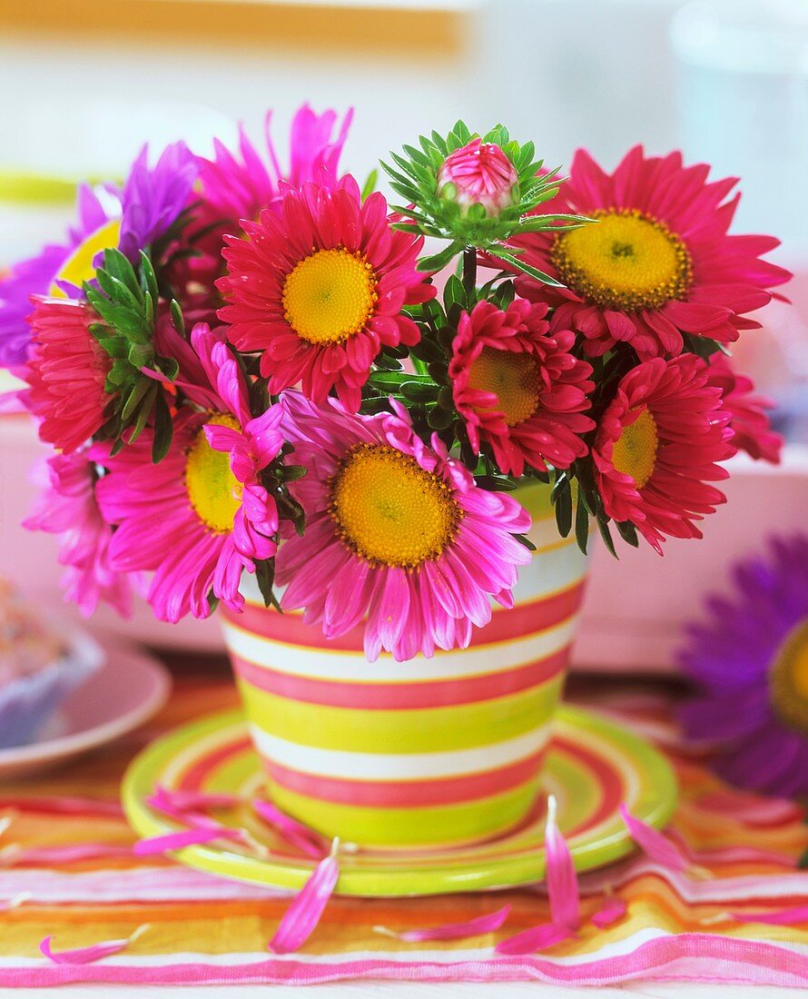 Asters in a cup and saucer