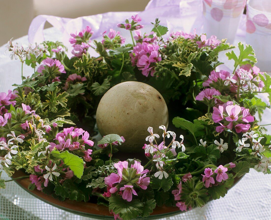 Wreath of various types of scented geraniums