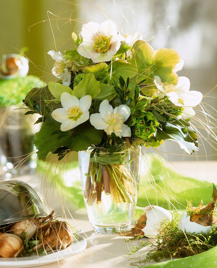 Frühlingssträußchen mit Christrosen