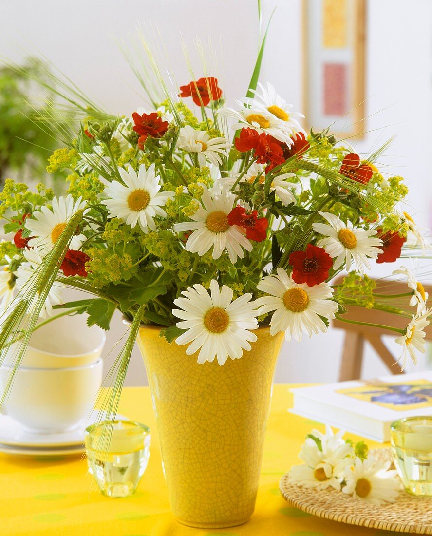 Vase of marguerites, geums and lady's mantle