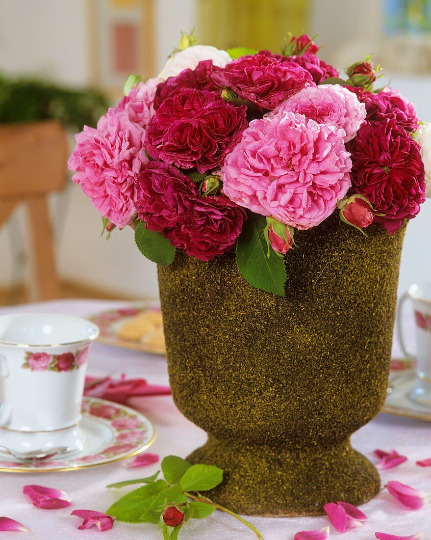 Rote und rosafarbene Rosen im Moostopf