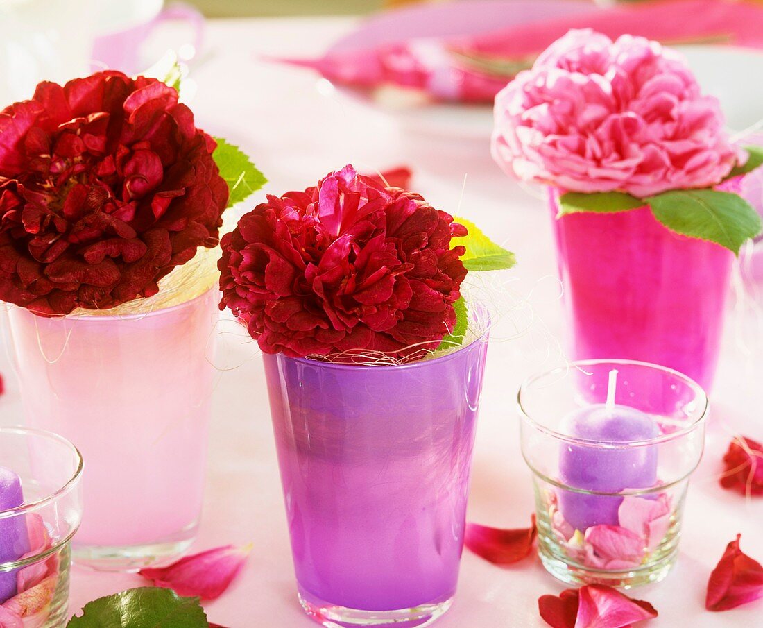 Rosenblüten in einzelnen Gläsern