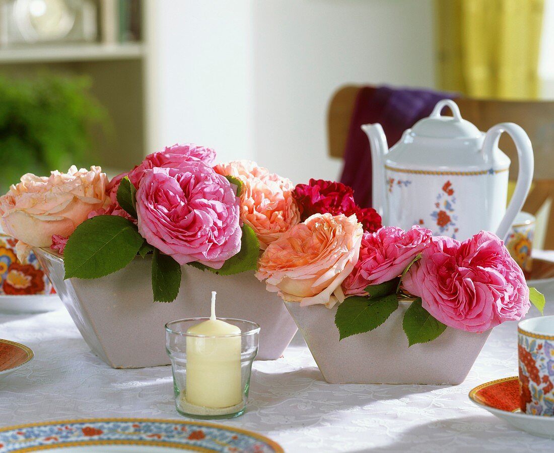 English roses in bowls
