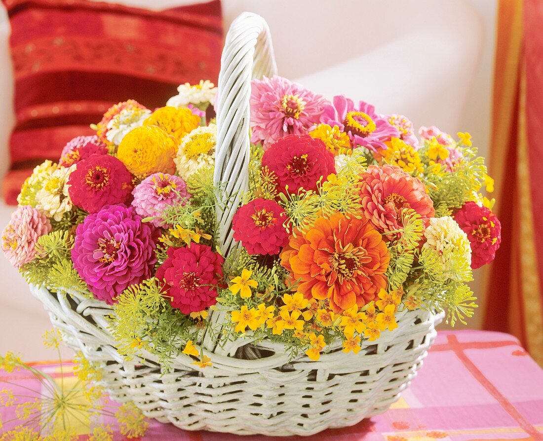 Basket of zinnias, dill and Tagetes