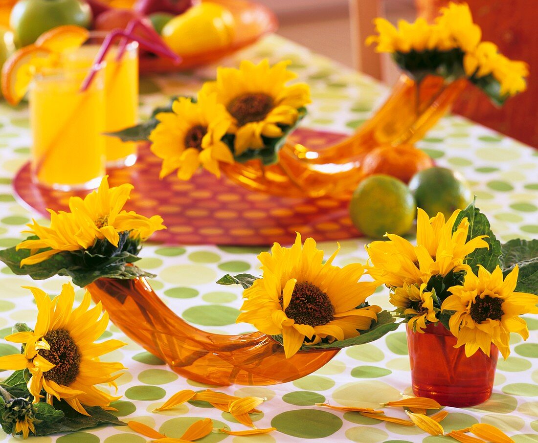 Sunflowers in horizontal vases and glasses