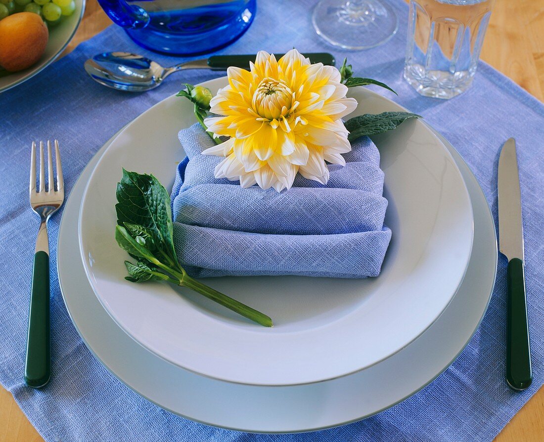 Yellow and white dahlia on pale-blue napkin