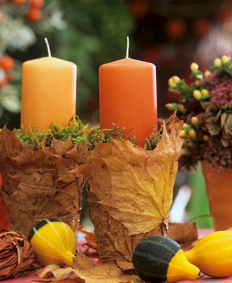 Candles in glass with leaves, moss, ornamental gourds