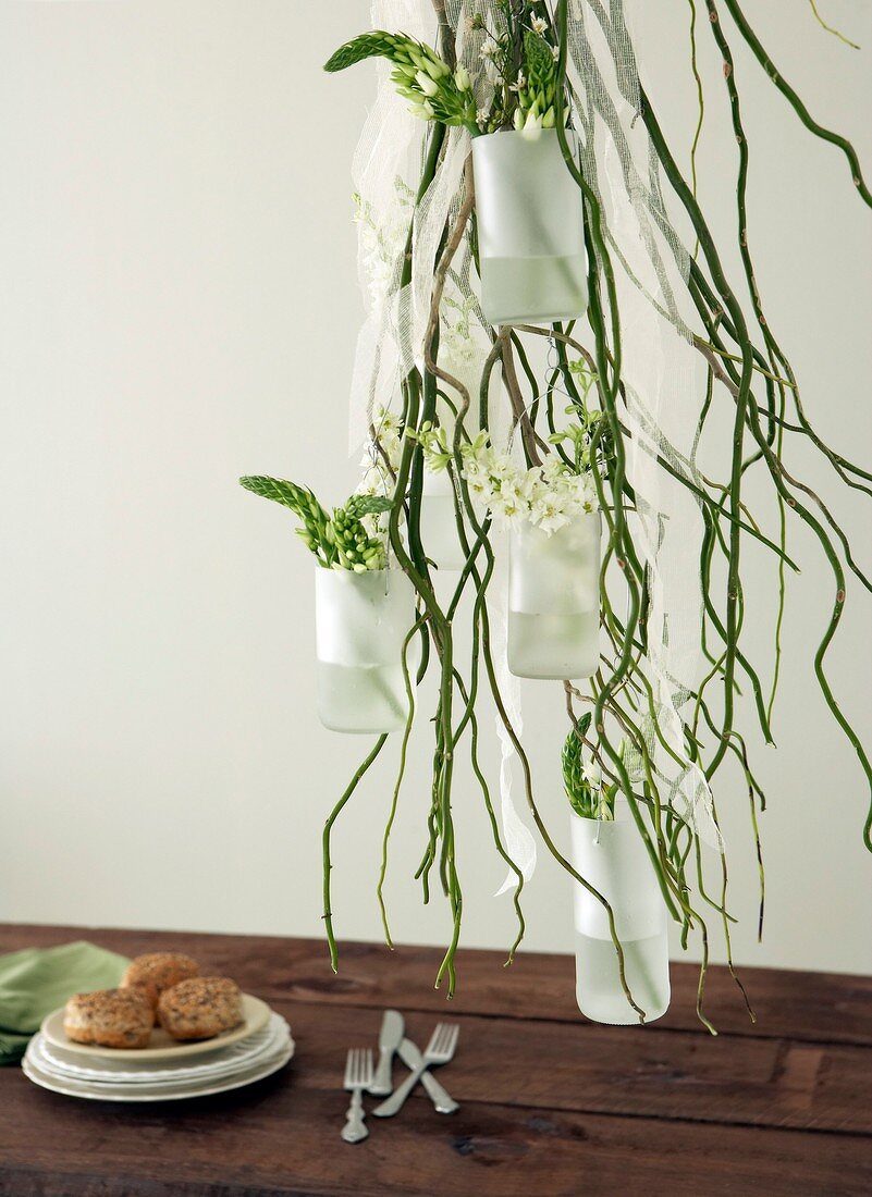Green plants in hanging vases