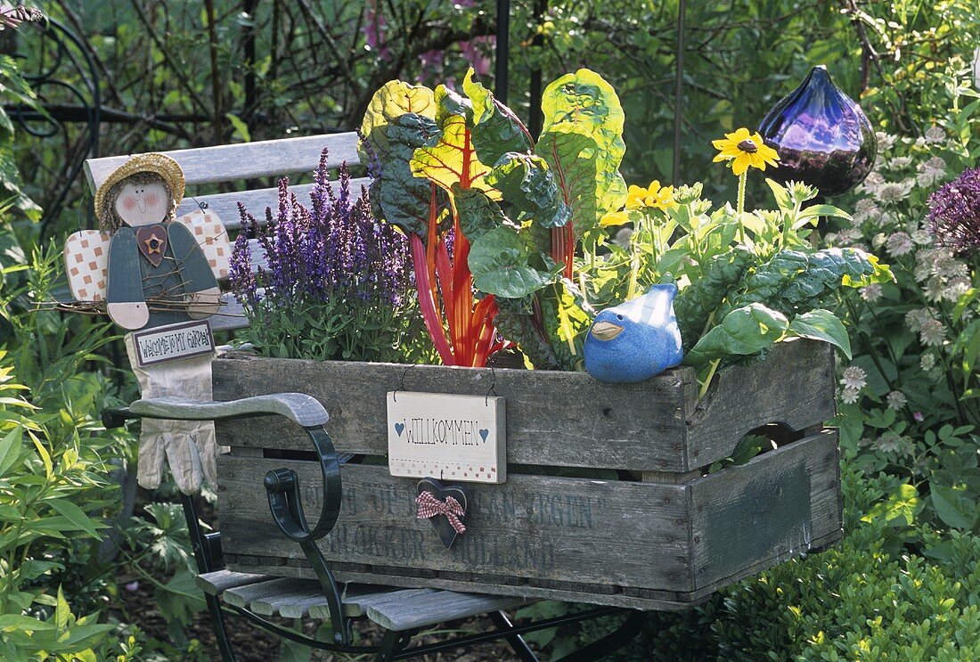 Holzkiste mit Gemüse auf einem Gartenstuhl