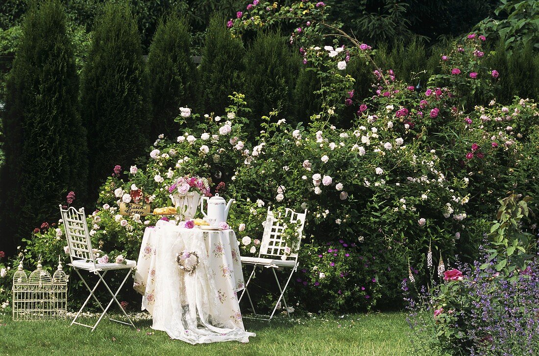 Romantic table laid for coffee in a rose garden