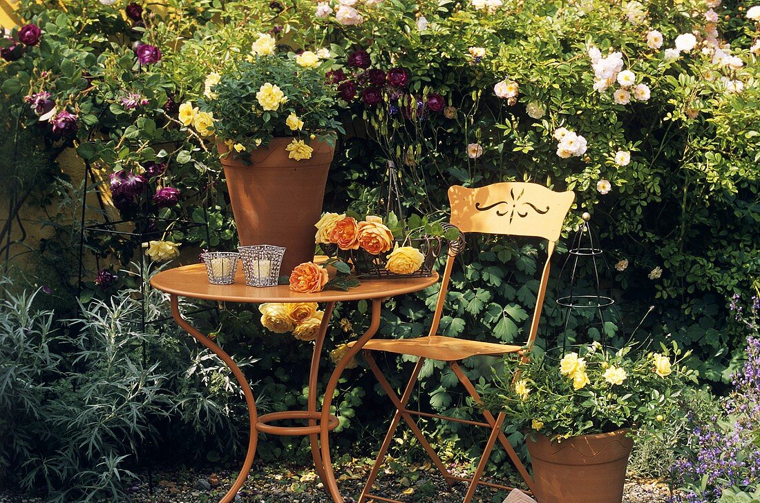 Gartentisch mit Rosen (Historische Rosengärten Hemmingen)