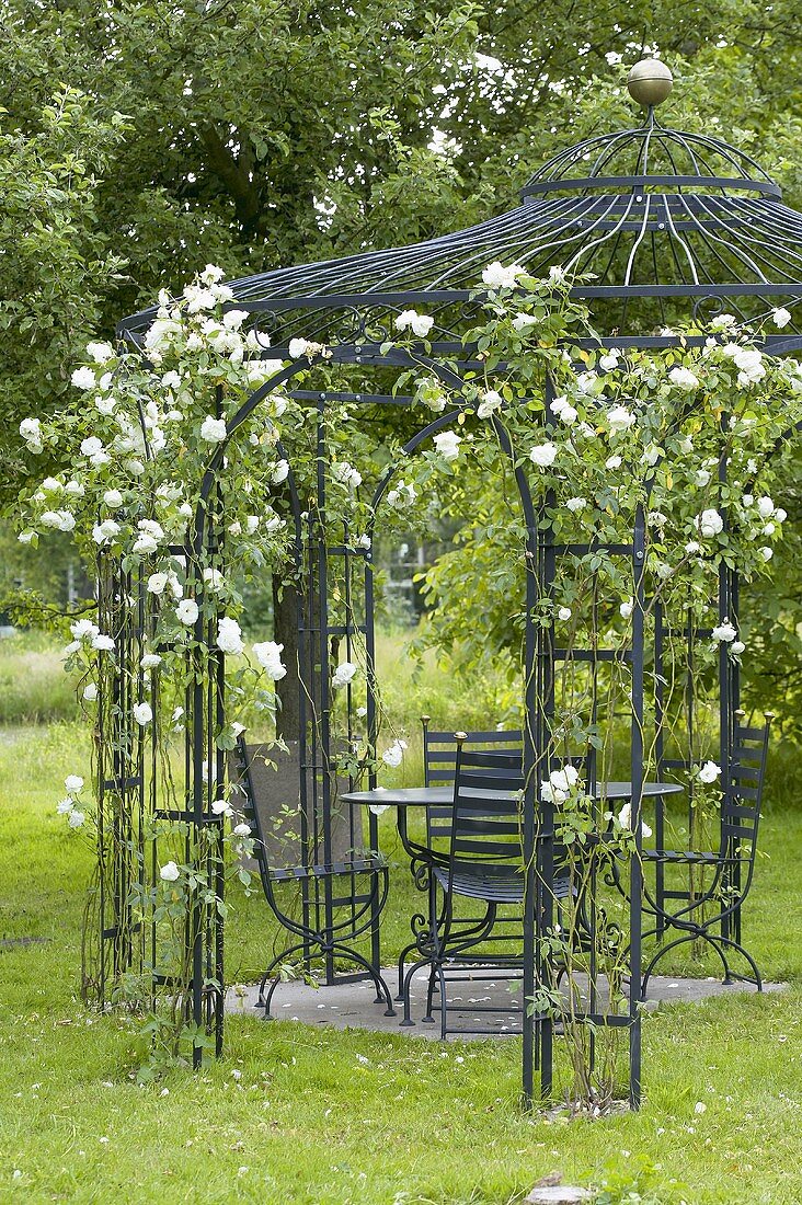 Garden pavilion with white roses