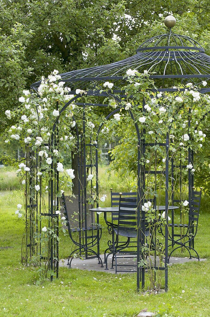 Gartenpavillon mit weissen Rosen