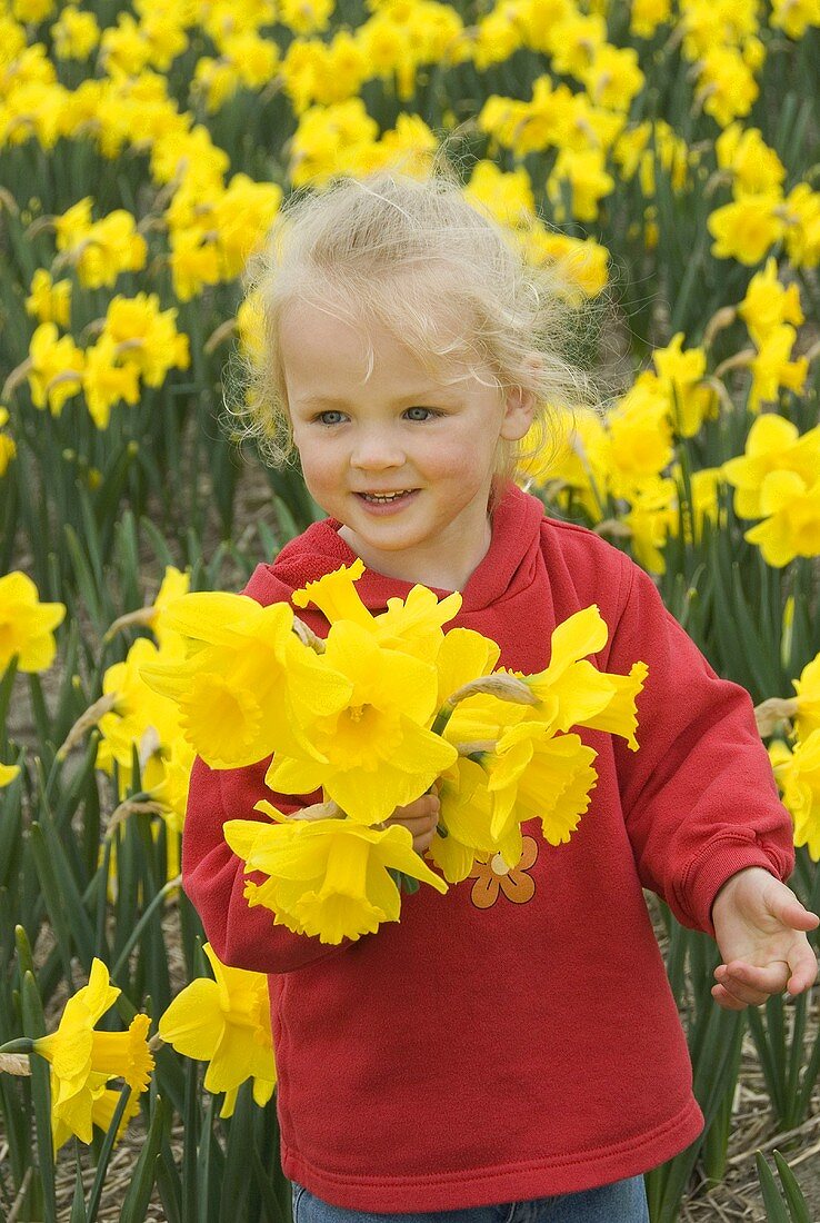 Blond girl holding bunch of daffodils