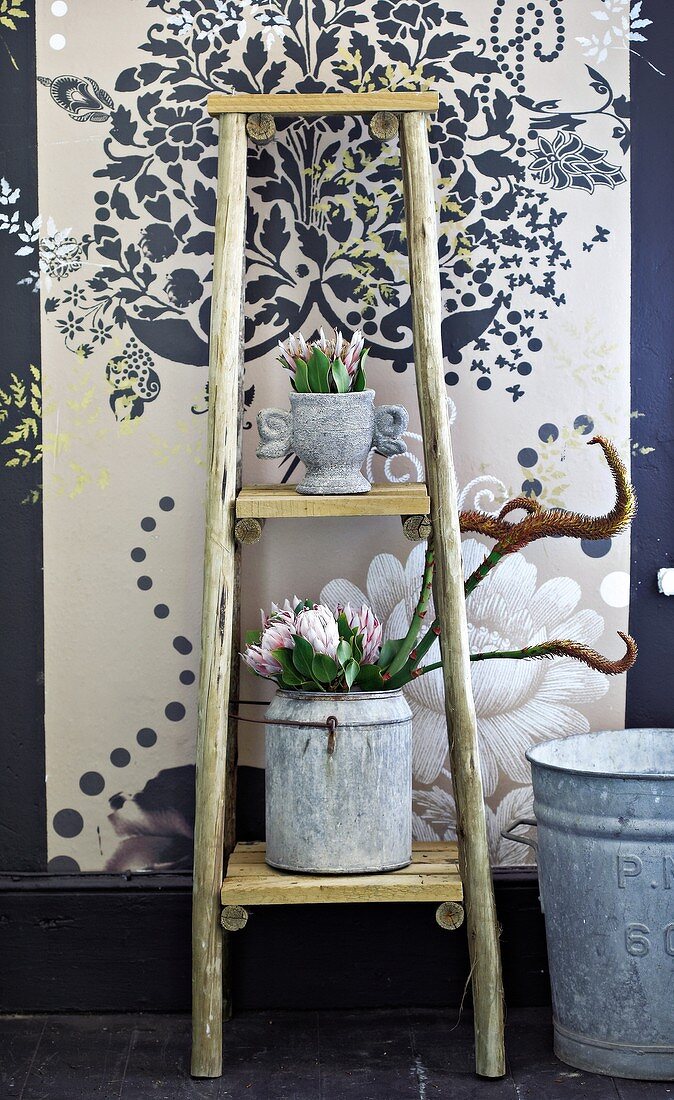 Potted plants on wooden stand in front of wallpaper