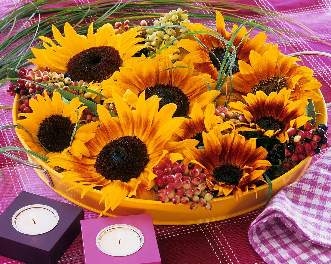 Sonnenblumen mit Schneeballbeeren & Gräsern in gelber Schale