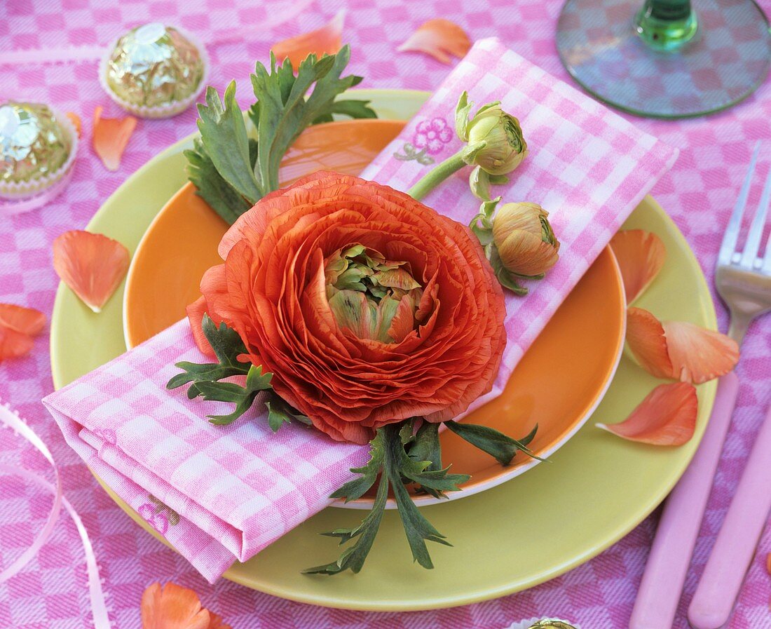 Orangefarbene Ranunkelblüte als Tellerdeko