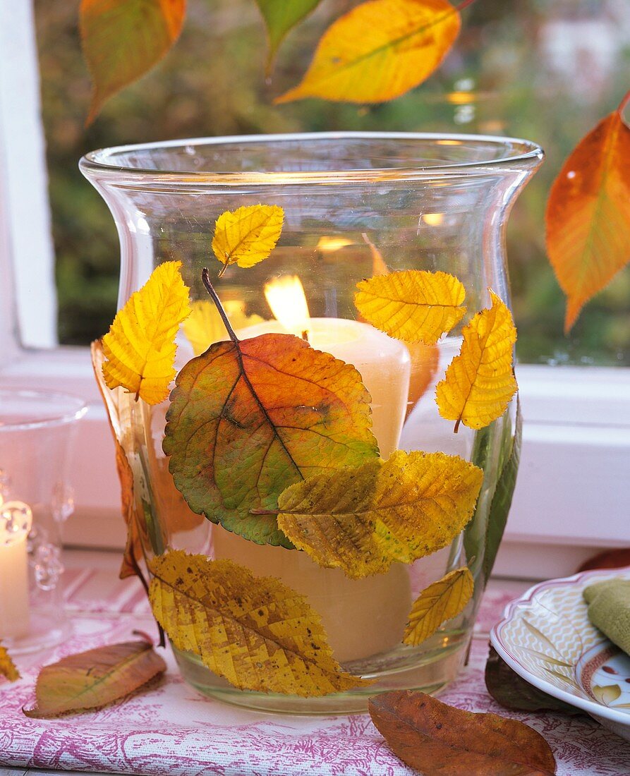 Windlight with autumn leaves (crab apple, ornamental cherry, hornbeam)