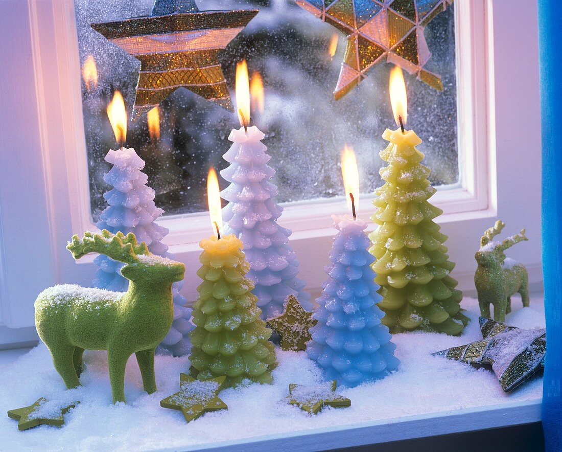 Kerzen in Weihnachtsbaumform, Sterne und Elchfigur am Fenster