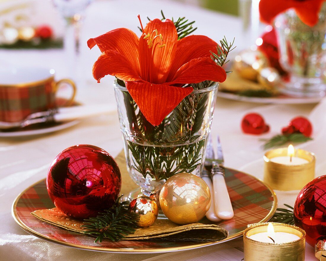 Amaryllis with fir sprigs and baubles (plate decoration)
