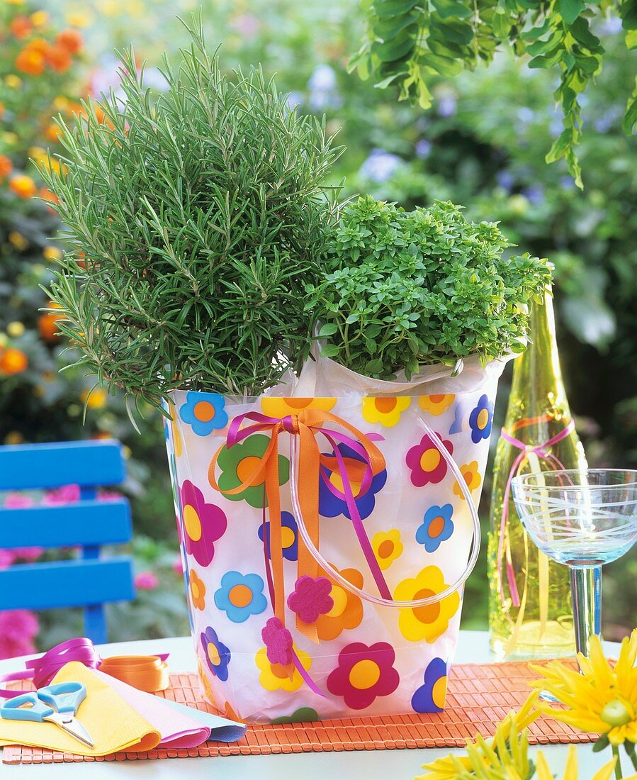 Rosemary & oregano in coloured plastic bag (table decoration)