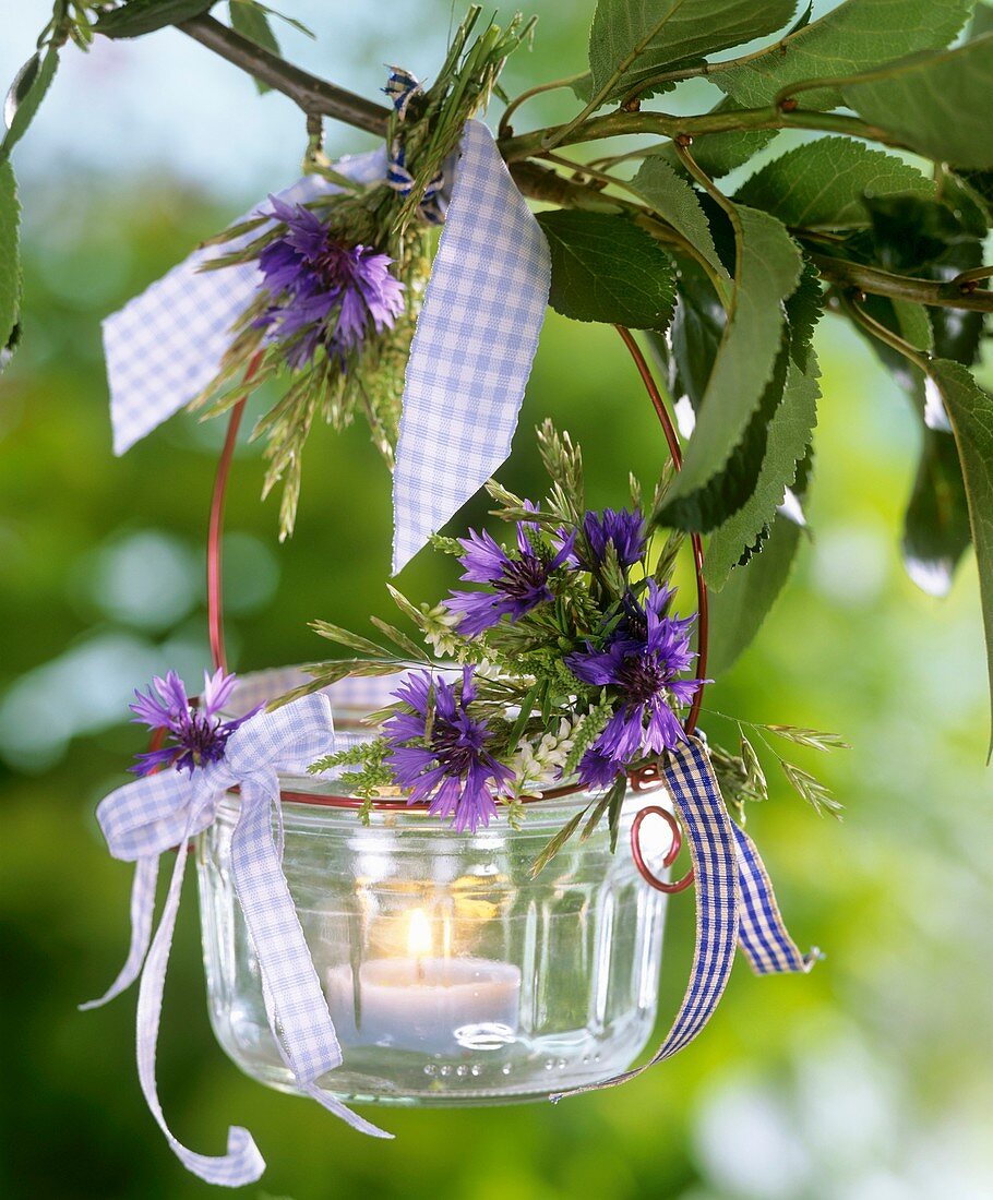Windlight with cornflowers & white melilot on branch of cherry tree