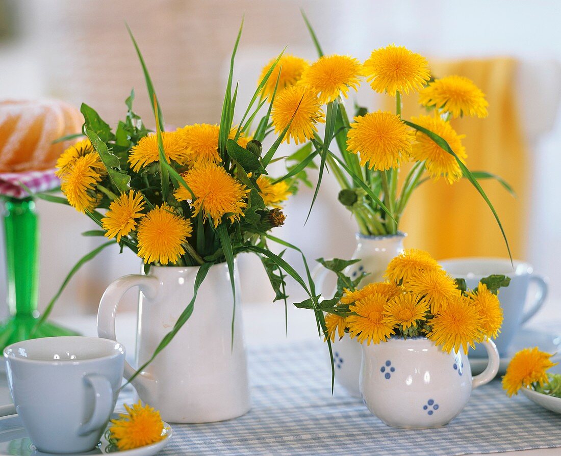 Dandelions and grass used as table decoration