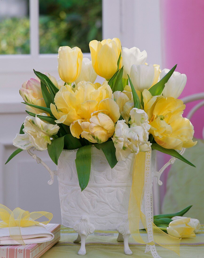 Tulips in white embossed vase