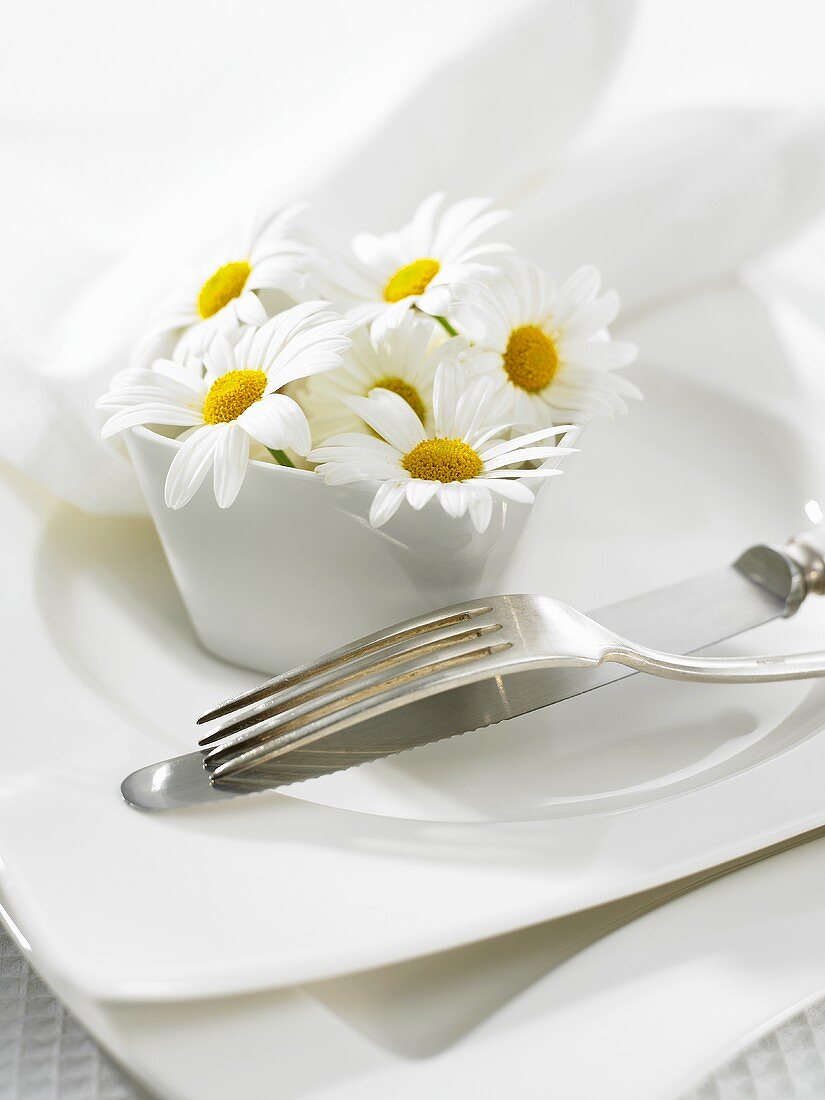 Margeritenblüten in weißem Topf als Tischdeko