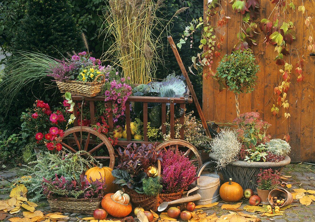 Herbstliches Arrangement mit Leiterwagen auf der Terrasse