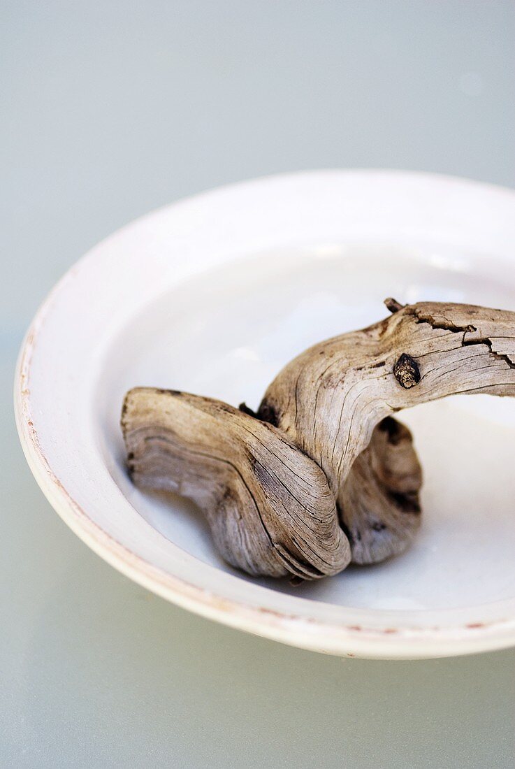 Piece of olive wood on ceramic plate