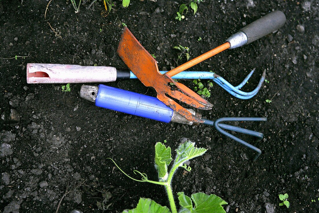 Garden tools on soil