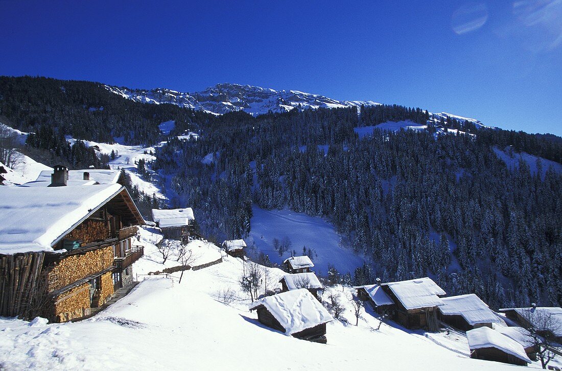 A snowy mountain village (Village de Boudin in France)