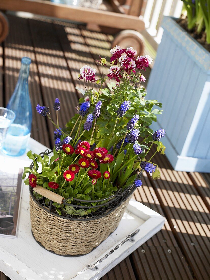 Korb mit Frühlingsblumen