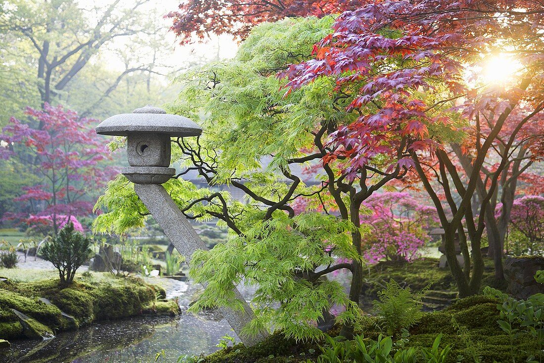 Japanischer Garten mit Steinlaterne