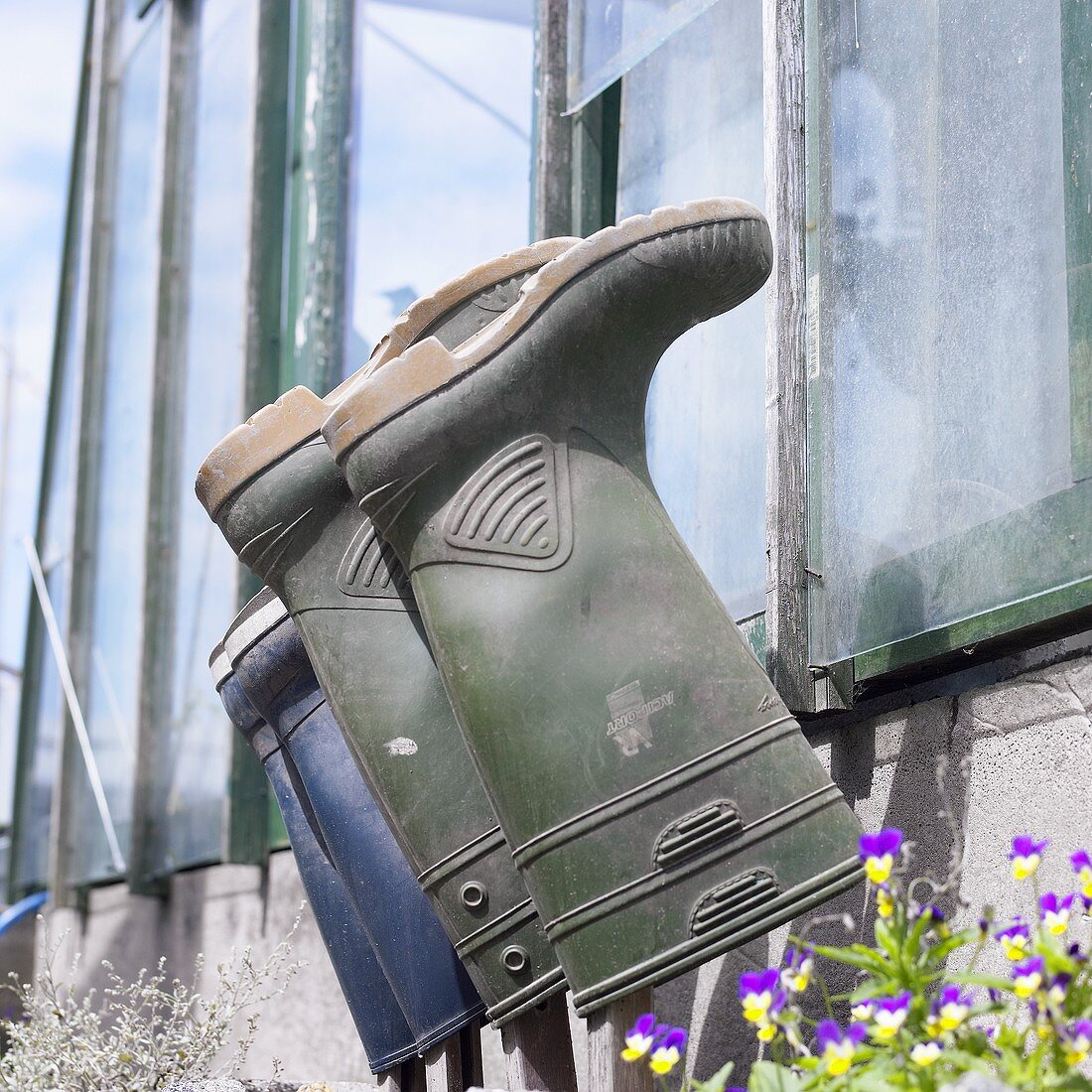 Rubber boots hanging on the wall of a greenhouse