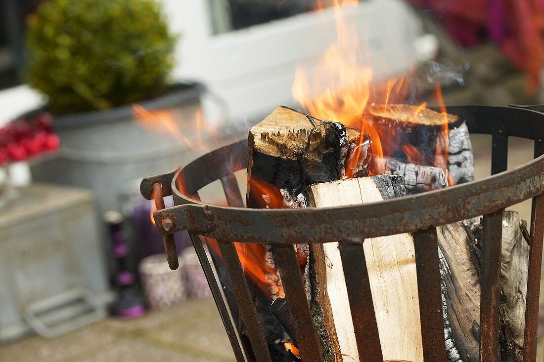 Burning logs in fire basket