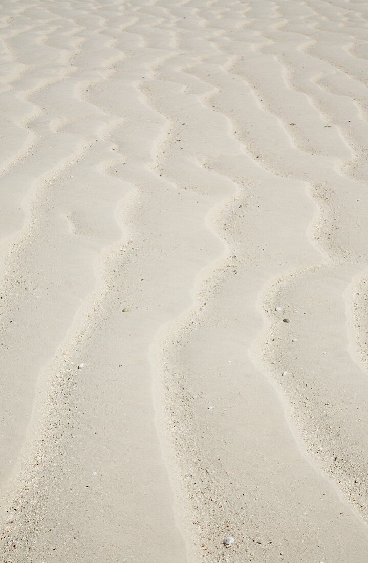 Spuren im Sand (Bildfüllend)