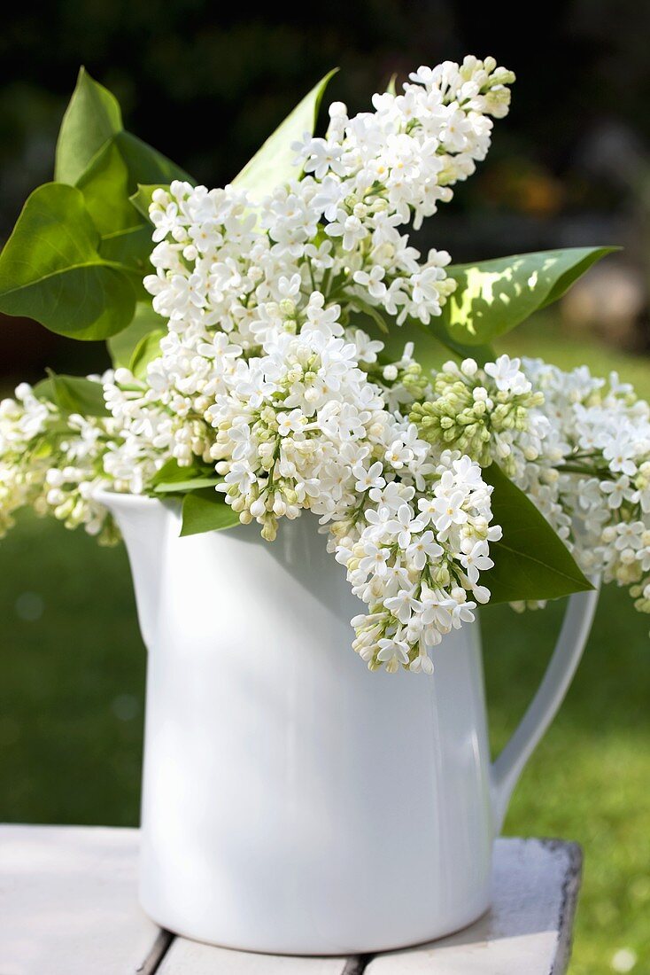 White lilac in ceramic jug on garden table