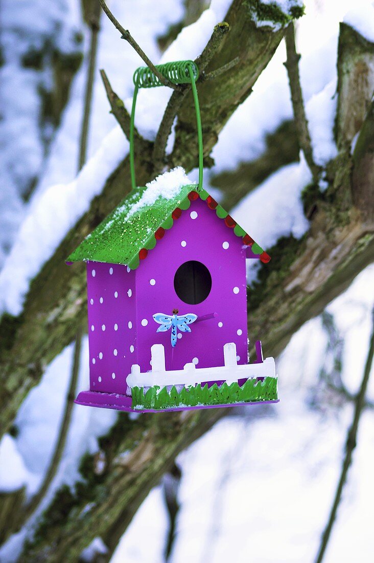 Bird house hanging in snow-covered tree