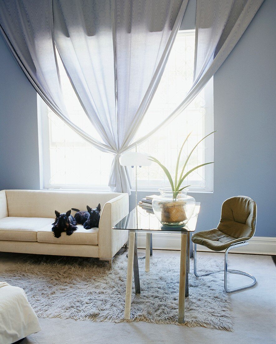 Sofa mit zwei schwarzen Hündchen vor einem quadratischen Fenster mit drapierter Gardine im taubenblau getönten Wohnraum