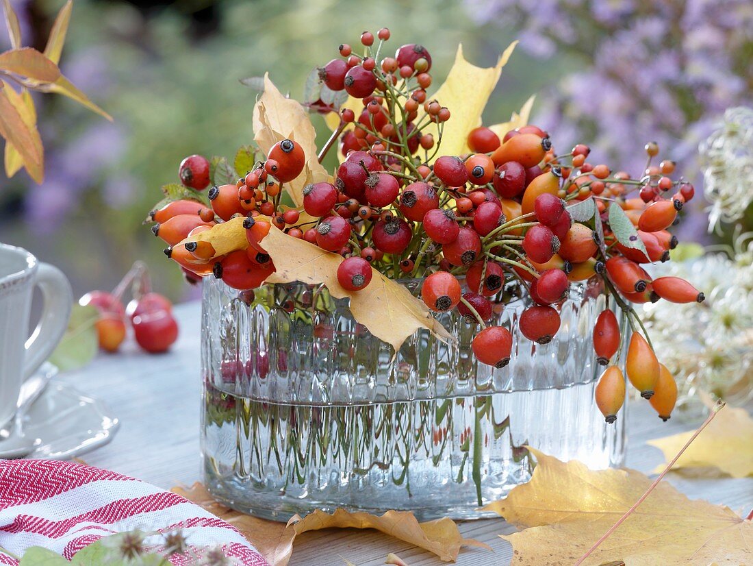 Bunch of rose hips and autumn leaves in glass vase