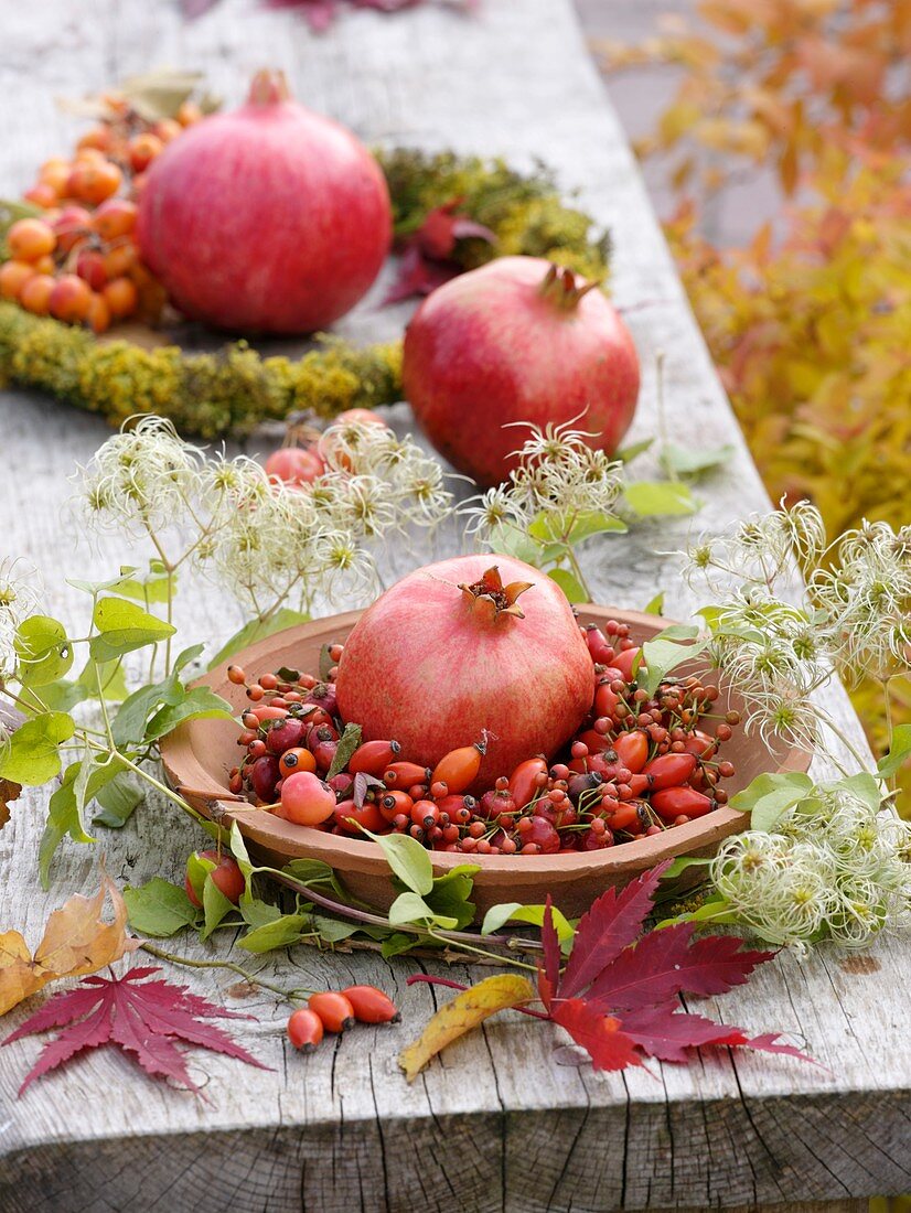 Granatapfel im Hagebuttenkranz, Zweige von Clematis mit Fruchtständen, Herbstlaub