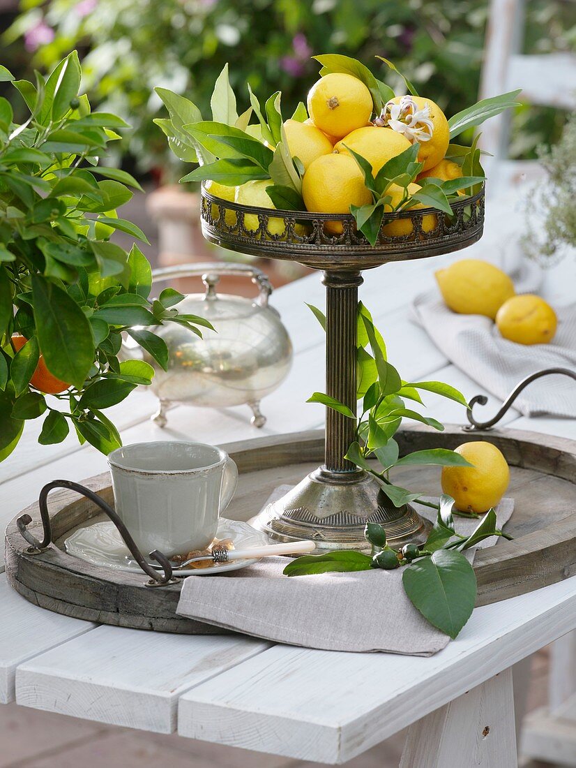 Mediterrane Tischdeko mit Zitronen in antiker Schale auf Tablett