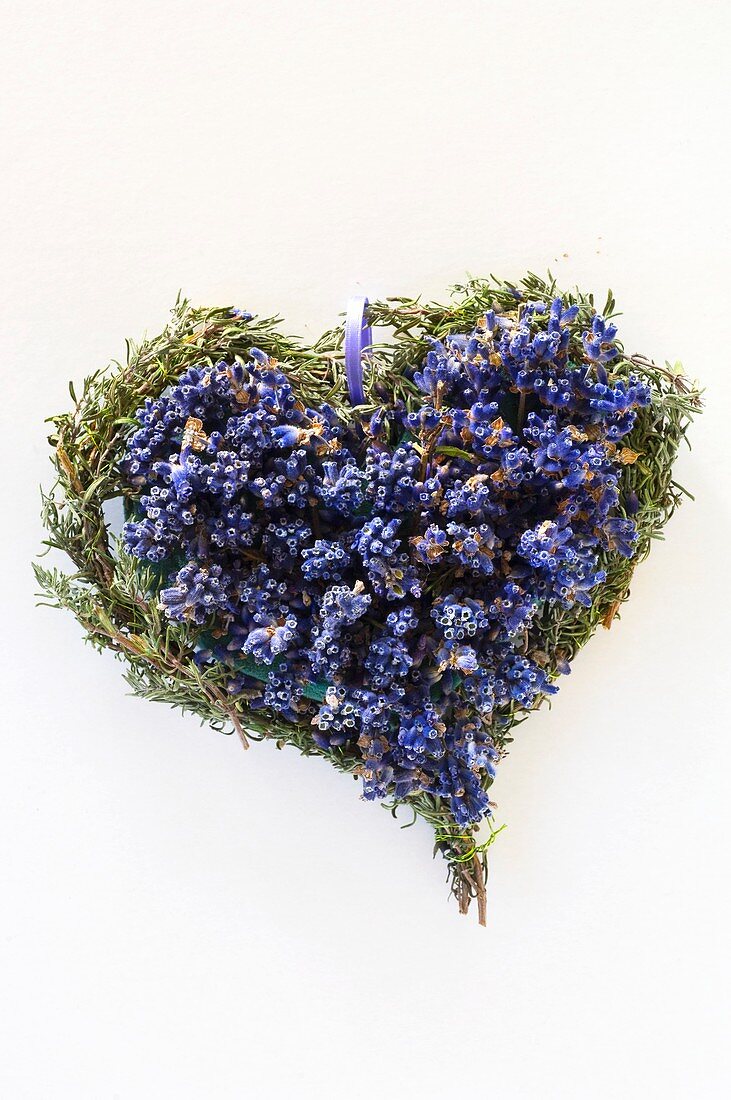 Lavender heart (overhead view)