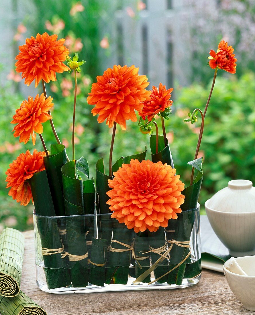 Dahlias in rolled banana leaves in glass vase